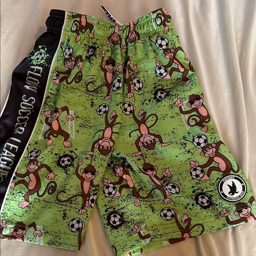 Flow Society Green Shorts (Kids)